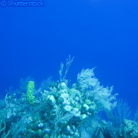 20090805_2