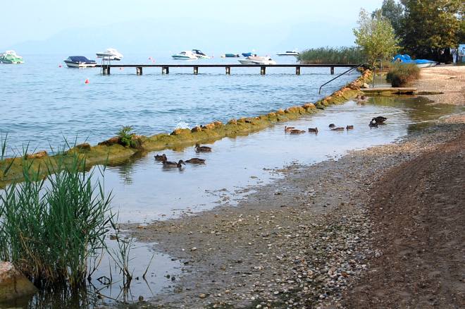 camping-036-wlochy camping-036-wlochy