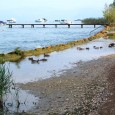 Camping przy Lago di Garda Camping przy Lago di Garda Camping w tym miejscu był ostatnim naszym campingiem we Włoszech, na jakim spaliśmy podczas tej podróży. Lago di Garda to największe, i najczystsze jezioro we...
