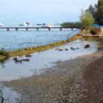 camping-037-wlochy