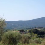 castellina-in-chianti-sienna-001-wlochy