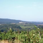 castellina-in-chianti-sienna-002-wlochy