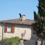 castellina-in-chianti-sienna-007-wlochy