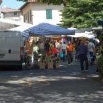castellina-in-chianti-sienna-042-wlochy