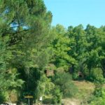 lipiec-sierpien-pogoda-007-wlochy