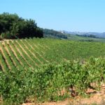 monteriggioni-009-wlochy