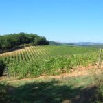 monteriggioni-010-wlochy