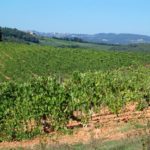monteriggioni-011-wlochy