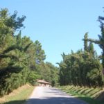 san-galgano-montesiepi-004-wlochy