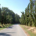san-galgano-montesiepi-005-wlochy