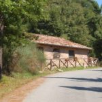 san-galgano-montesiepi-006-wlochy
