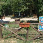 san-galgano-montesiepi-008-wlochy