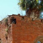 san-galgano-montesiepi-051-wlochy