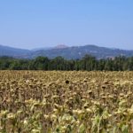san-galgano-montesiepi-060-wlochy