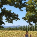 san-galgano-montesiepi-062-wlochy