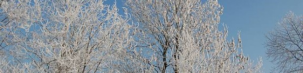 Czy włosi w zimie nie marzną? Włochy to ciepły kraj, jednak w zimie, kiedy temperatura spada do 8 stopni, mieszkańce tego kraju mogą zacząć już narzekać na zimno. Roczna średnia...