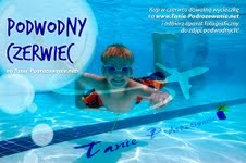 Nie ważne czy jesteś doświadczonym podróżnikiem, zapalonym turystą, czy dopiero planujesz pierwszą podróż. Nie zwlekaj! Wybierz zagraniczną wycieczkę na www.Tanie-Podrozowanie.net. Jak zawsze gwarantujemy wspaniały wypoczynek i pasjonującą przygodę. W czerwcu...