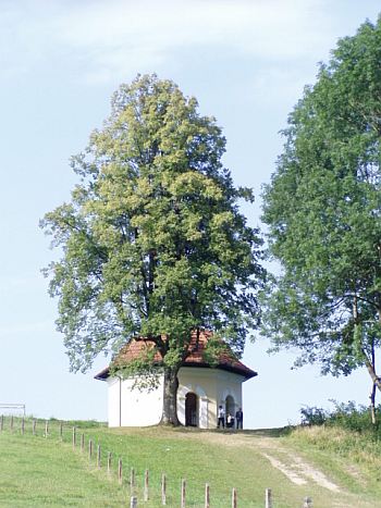 Kalwaria i Lanckorona
